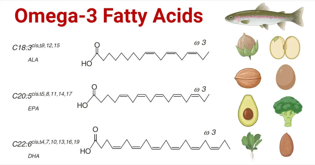 什麼是Omega3 ?